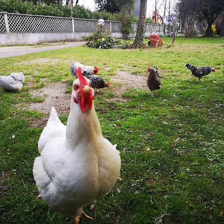 Apartman Afea's - La Tua Casa Nel Cuore Del Friuli Venezia Giulia