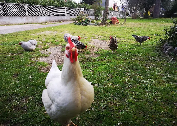 Apartman Afea's - La Tua Casa Nel Cuore Del Friuli Venezia Giulia